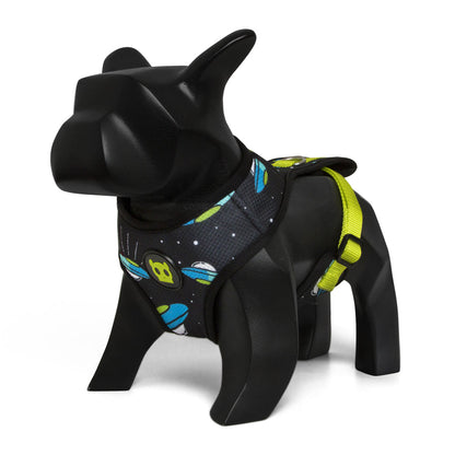 AREA 51 MESH HARNESS エリア51  メッシュハーネス