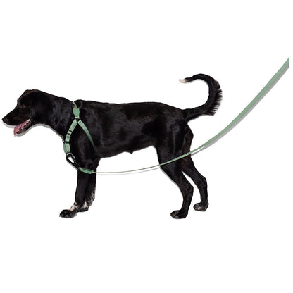 ARMY GREEN LEASH アーミーグリーン リード