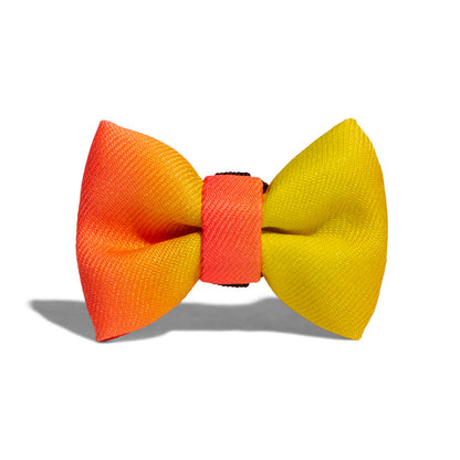 CITRUS BOW TIE シトラス ボウタイ
