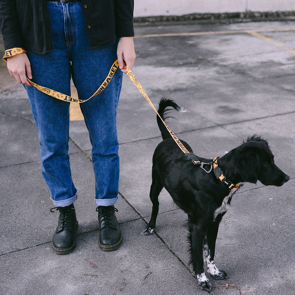 CTM YELLOW LEASH チャイナタウンマーケット イエロー リード