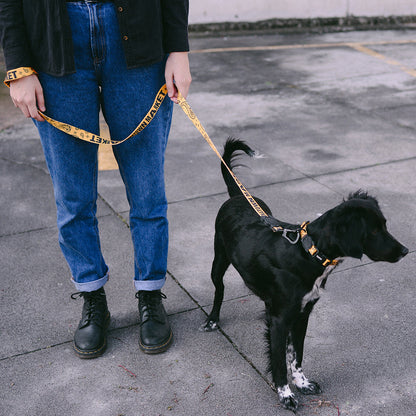 CTM YELLOW LEASH チャイナタウンマーケット イエロー リード