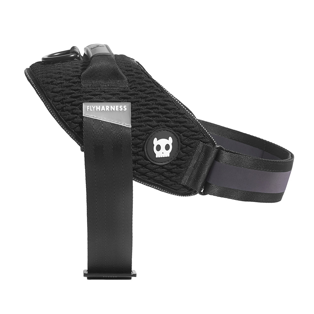 GOTHAM FLY HARNESS ゴッサム フライハーネス