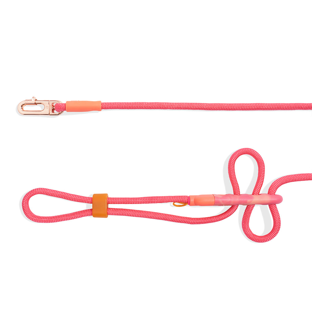GAZELLE HANDS-FREE LEASH ガゼル ハンズフリーリーシュ