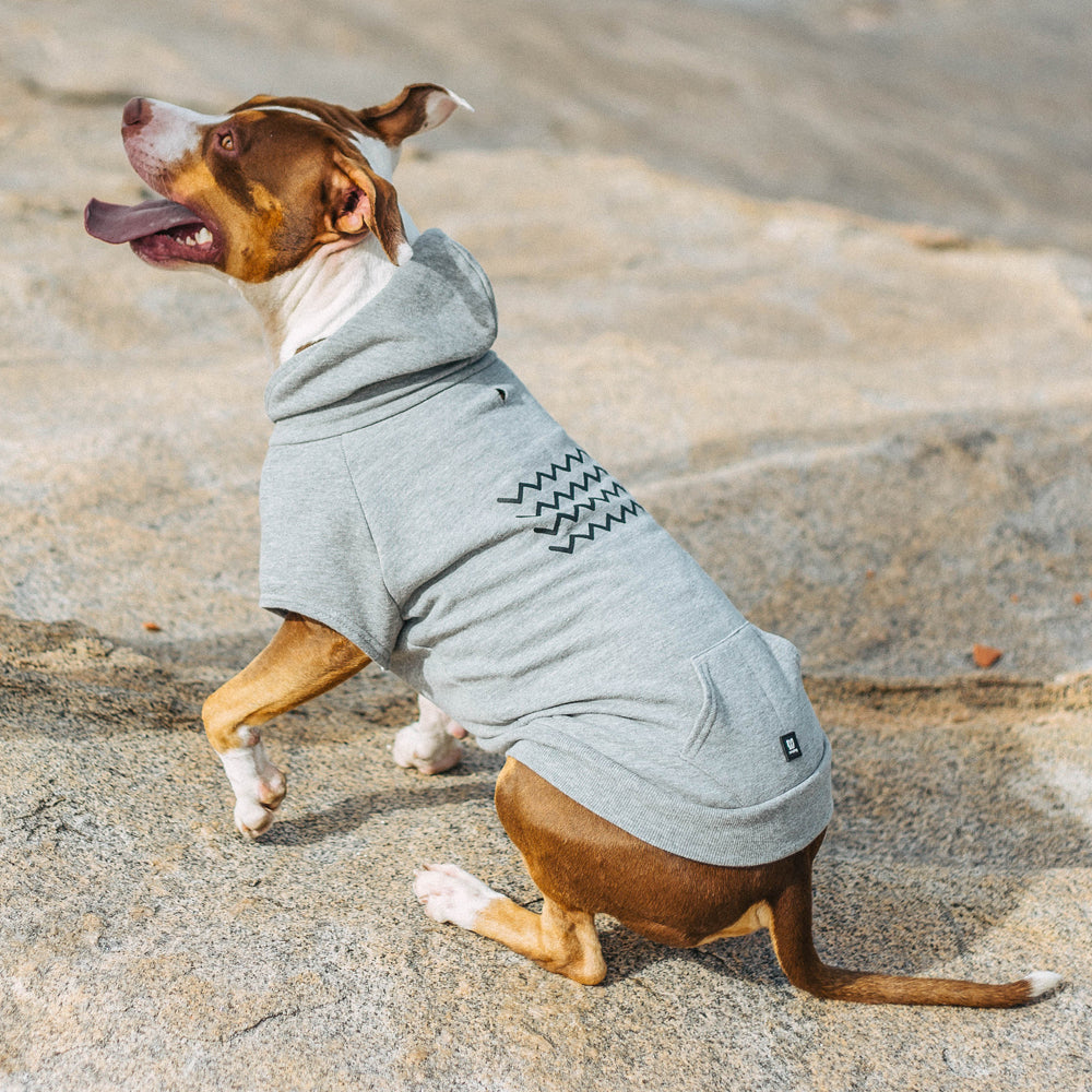ZIG ZAG HOODIE