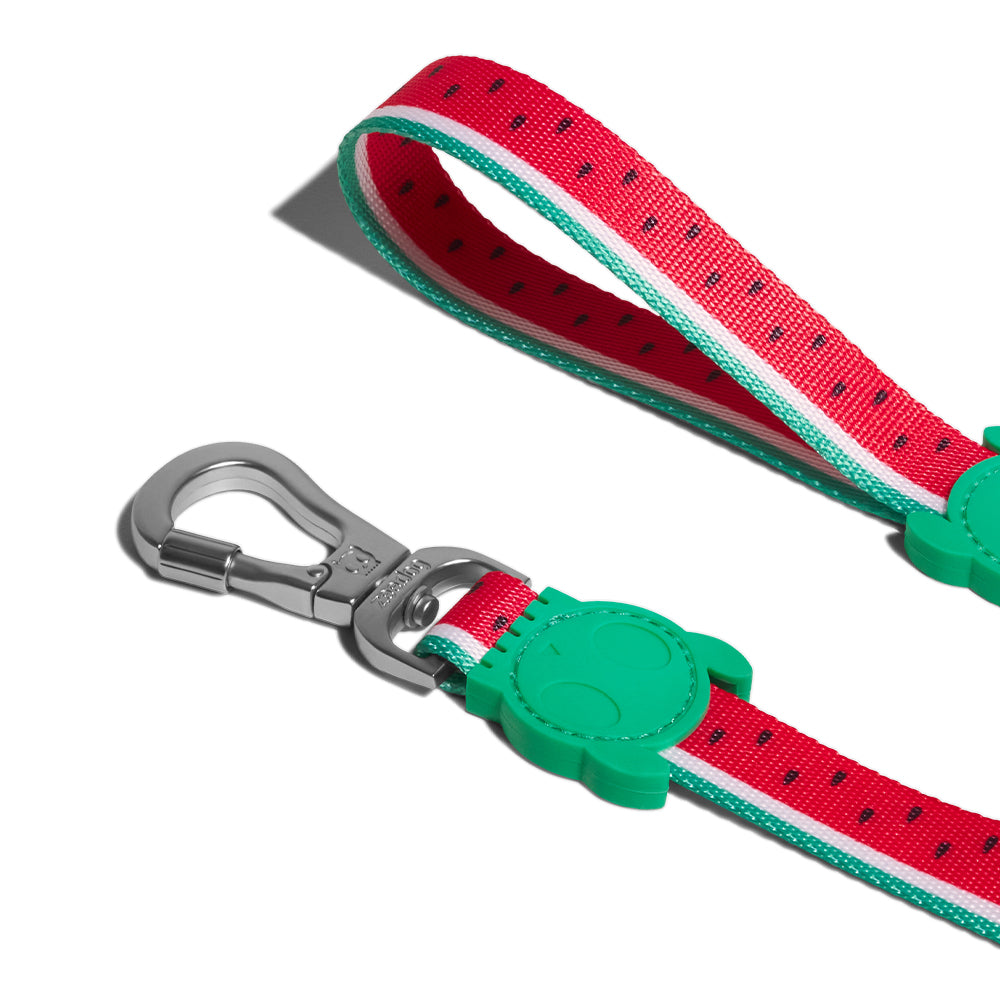 LOLA LEASH ローラ リード