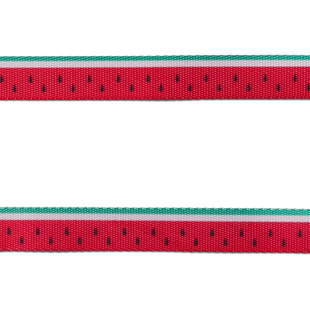 LOLA LEASH ローラ リード