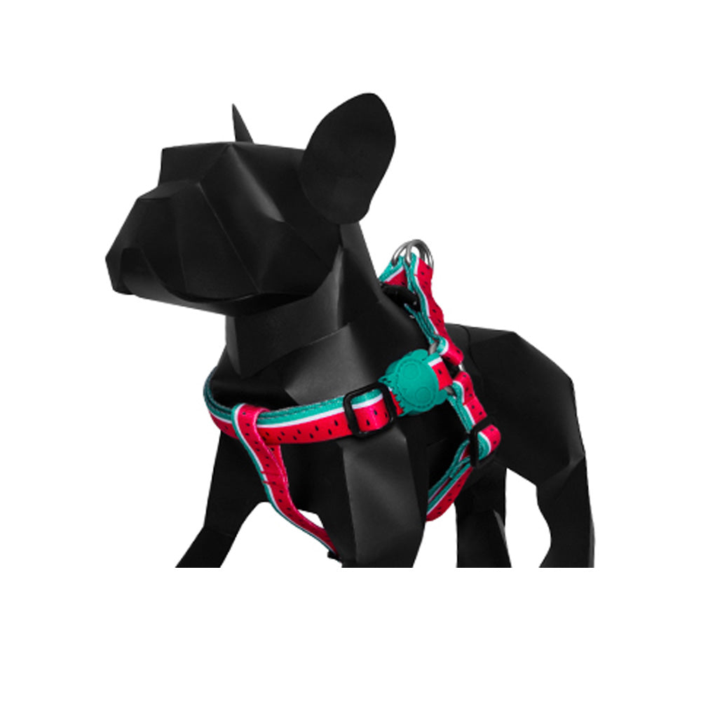 LOLA STEPIN HARNESS ローラ ステップインハーネス