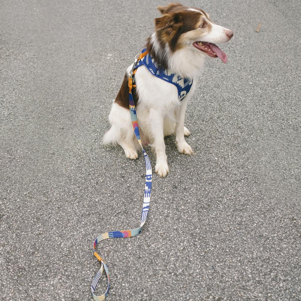MAZE LEASH メイズ リード