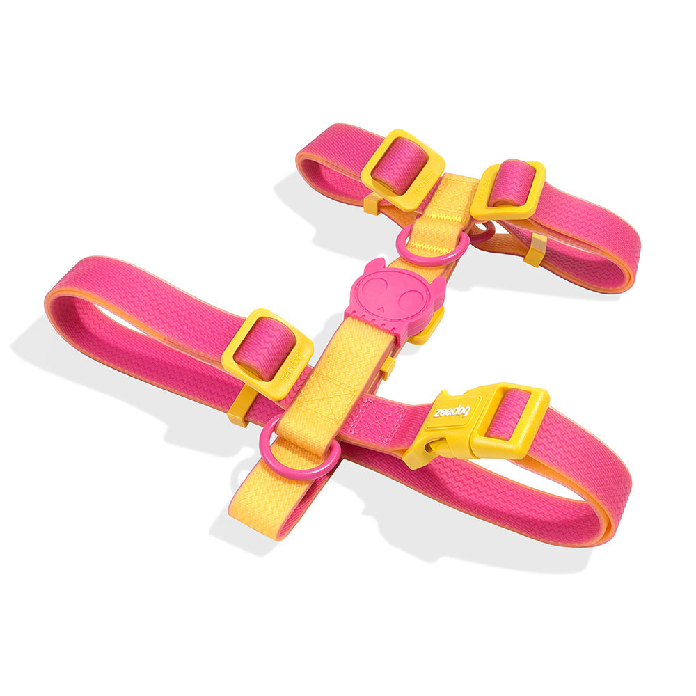 NEOPRO 2.0 LYRA H-HARNESS ネオプロ ライラ Hハーネス