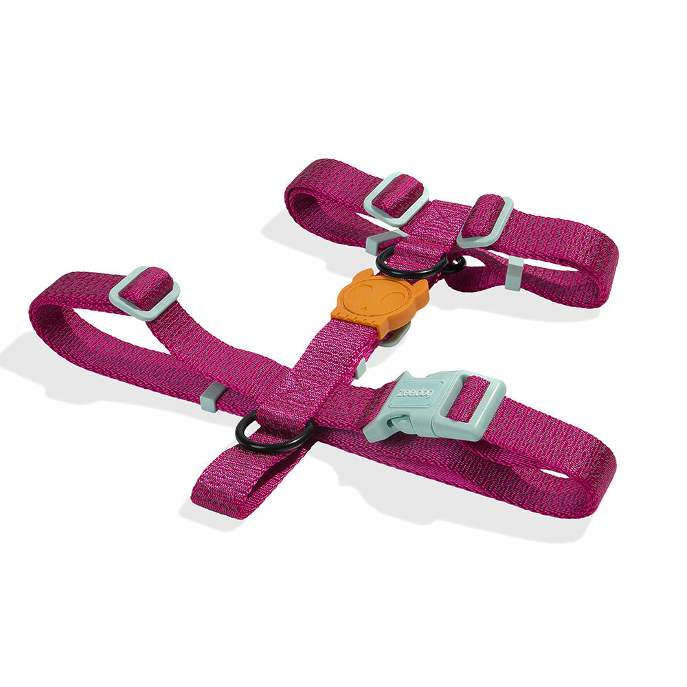NOX SIDUS H-HARNESS ノックス シダス Hハーネス