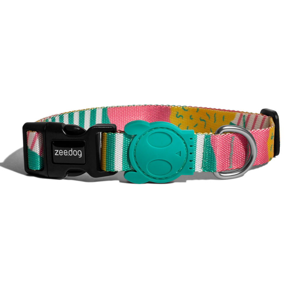 SALINA COLLAR サリナ カラー