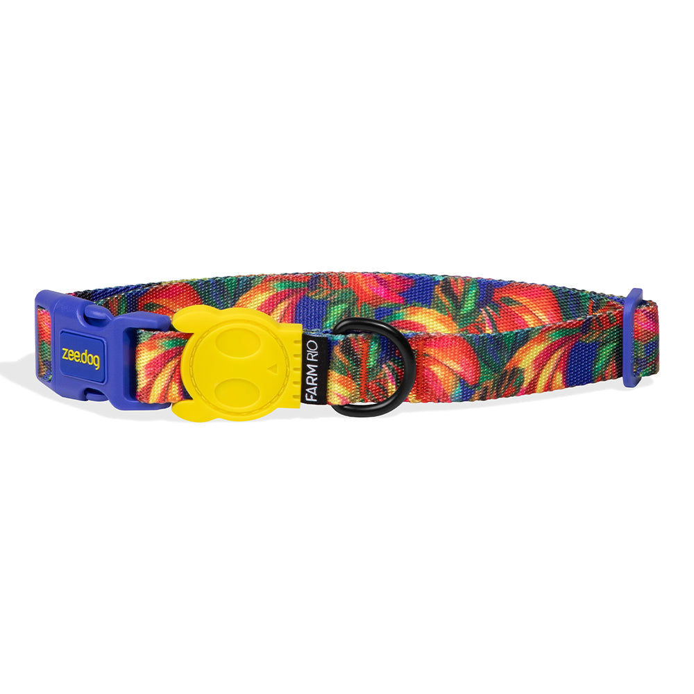 FARM RIO SAMBA COLLAR ファームリオ サンバ カラー
