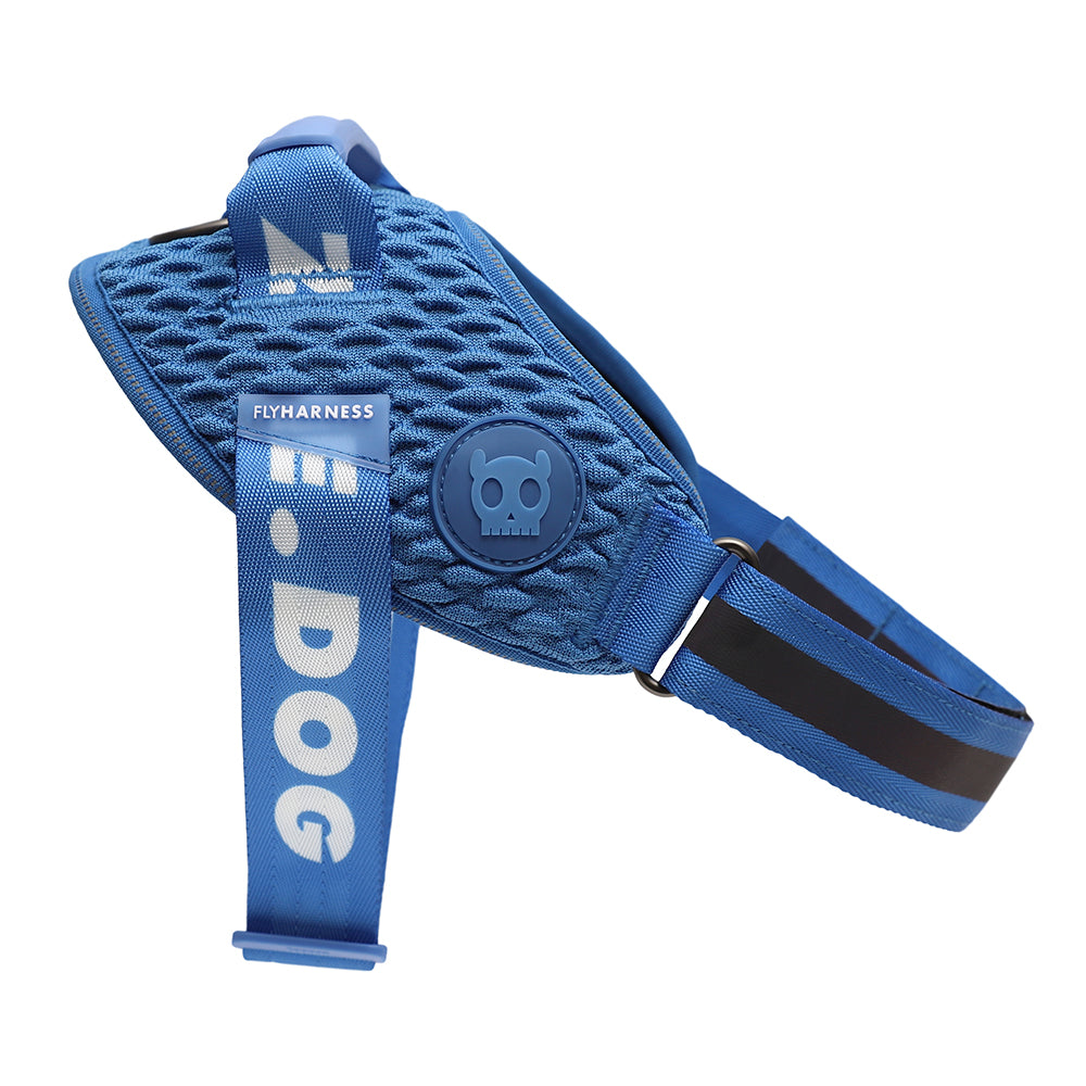 SLAM DUNK FLY HARNESS スラムダンク フライハーネス