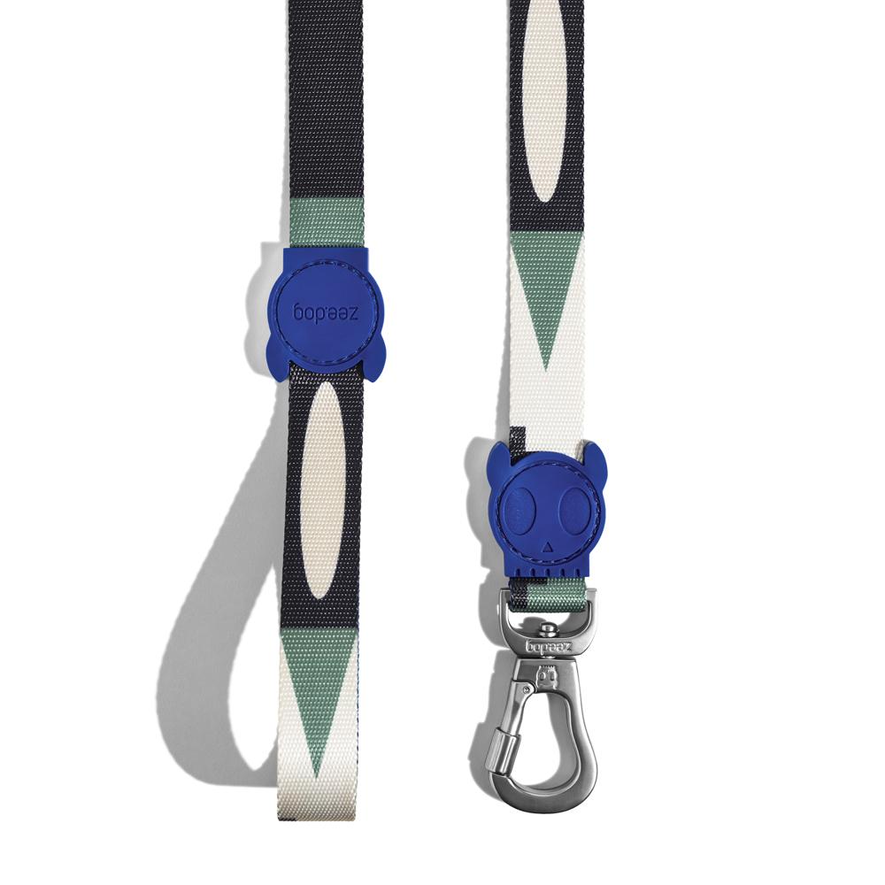 TAROT LEASH タロット リード