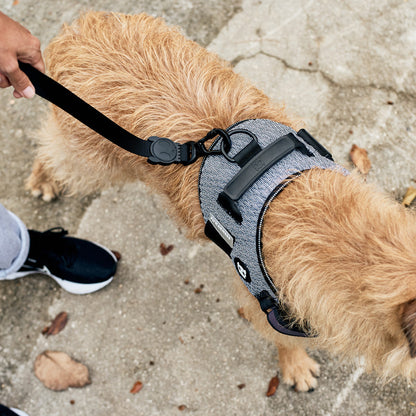 URBAN FLY HARNESS アーバン フライハーネス