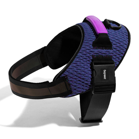 WICKED FLY HARNESS ウィキッド フライハーネス