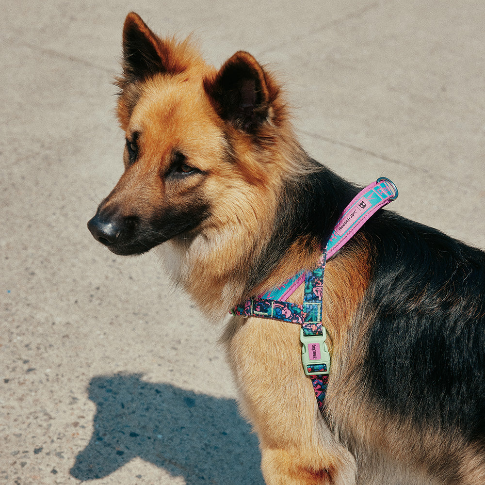 Reebok AEROBIC SOFTER WALK HARNESS リーボック エアロビック ソフターウォークハーネス
