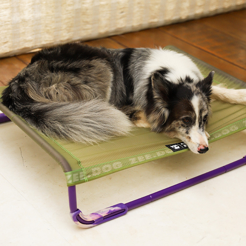 AIR.BED GREEN エアベッド グリーン