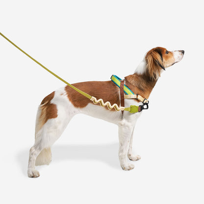 AVOCADO SOFTER WALK HARNESS アボカド ソフターウォークハーネス