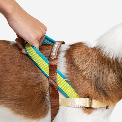AVOCADO SOFTER WALK HARNESS アボカド ソフターウォークハーネス