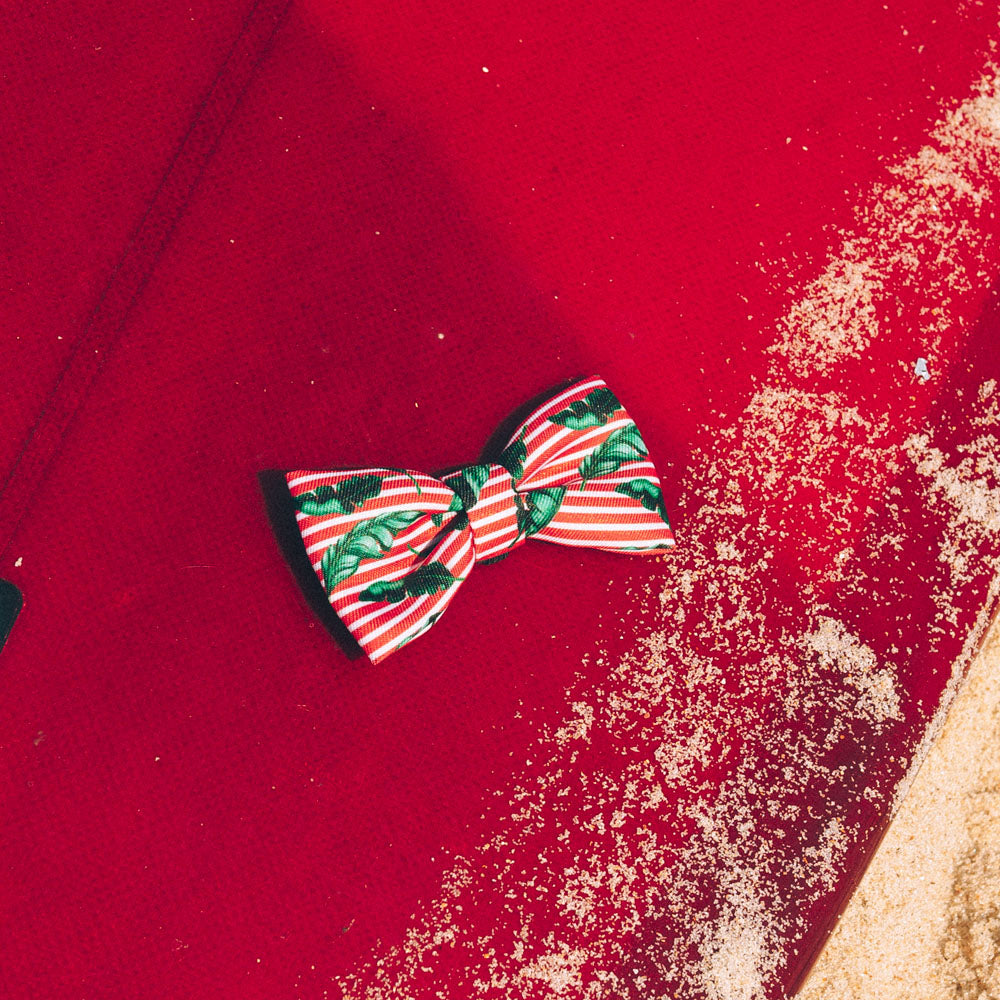 BALI BOW TIE バリ ボウタイ