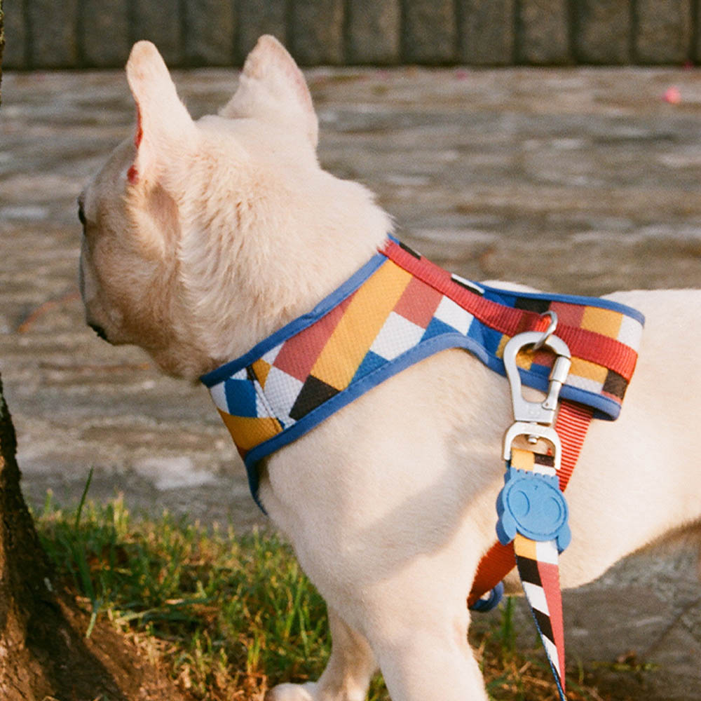 BLOCKS MESH HARNESS ブロックス メッシュハーネス