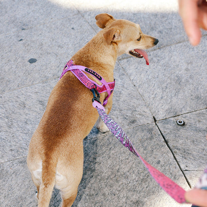 ZEE.TOWN BRAIN SOFTER WALK HARNESS ジータウン ブレイン ソフターウォークハーネス