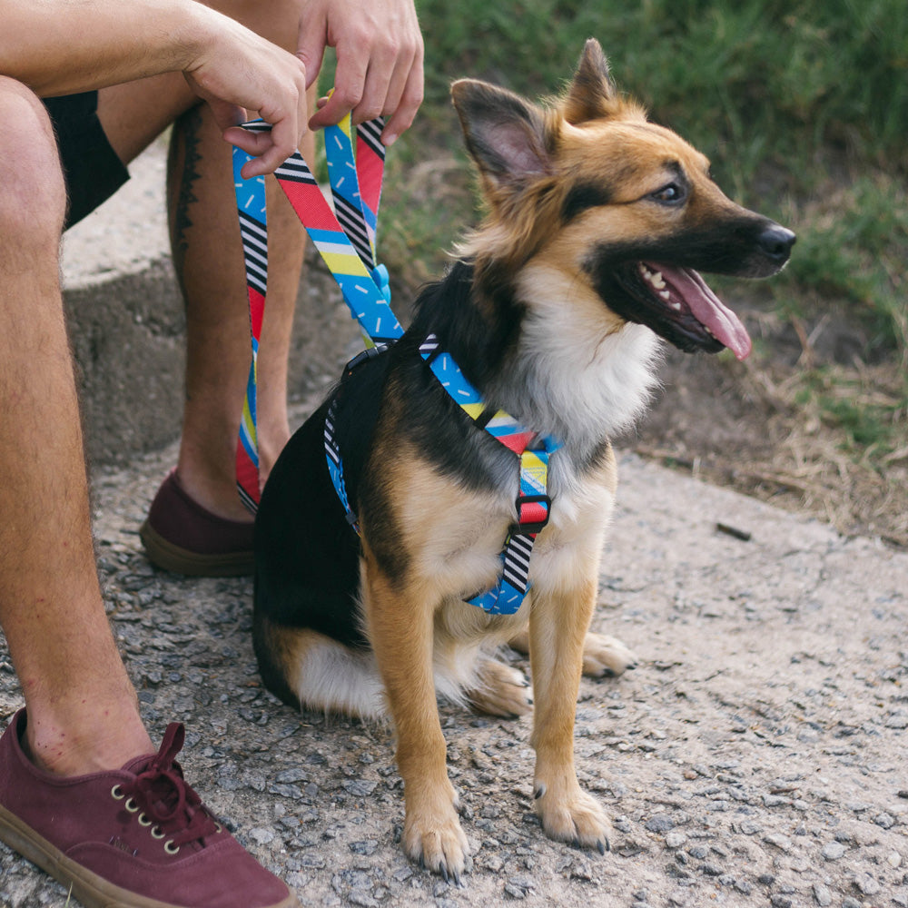 BROOKLYN LEASH ブルックリン リード