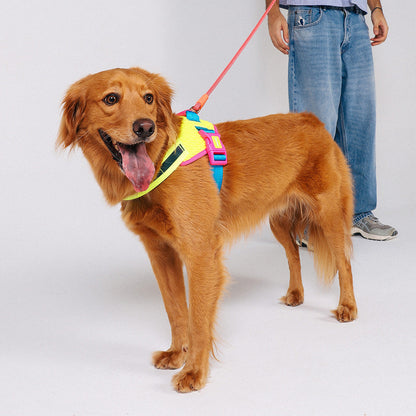 CMYK FLY HARNESS CMYK フライハーネス