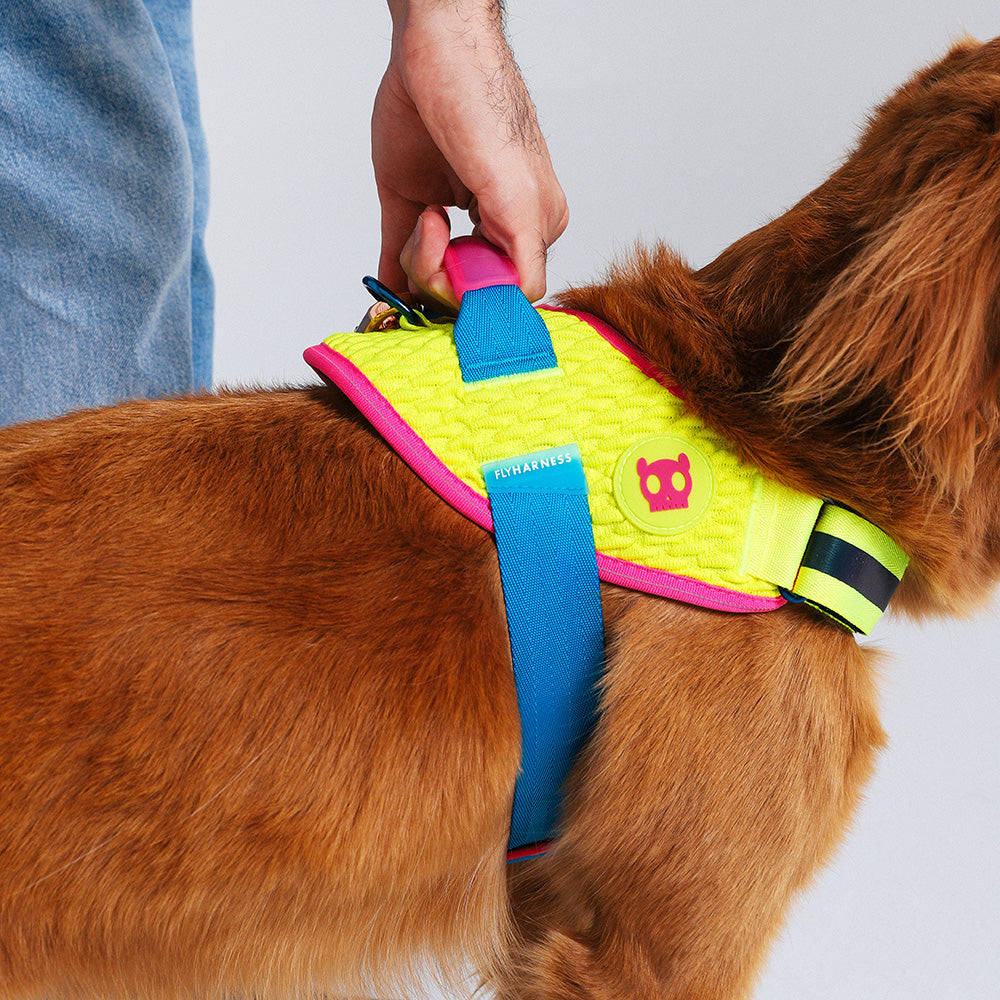 CMYK FLY HARNESS CMYK フライハーネス