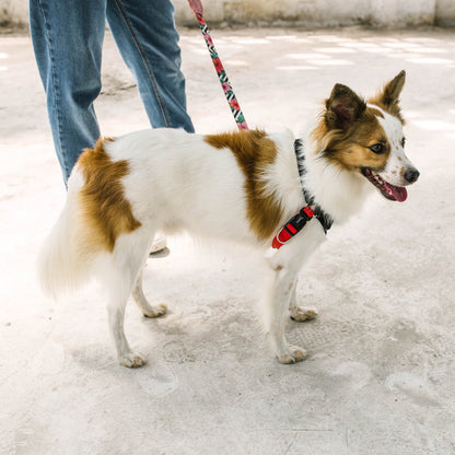 FATBOY SOFT WALK HARNESS ファットボーイ ソフトウォークハーネス