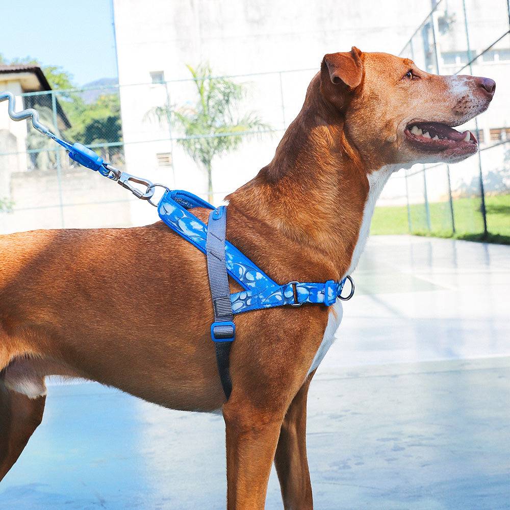 H3D FLY SOFTER WALK HARNESS H3D フライ ソフターウォークハーネス