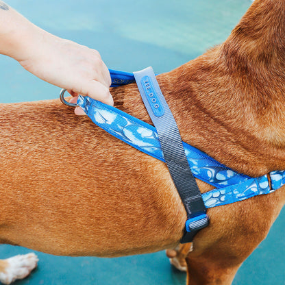 H3D FLY SOFTER WALK HARNESS H3D フライ ソフターウォークハーネス