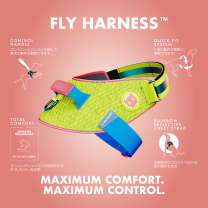 ACG FLY HARNESS エーシージー フライハーネス