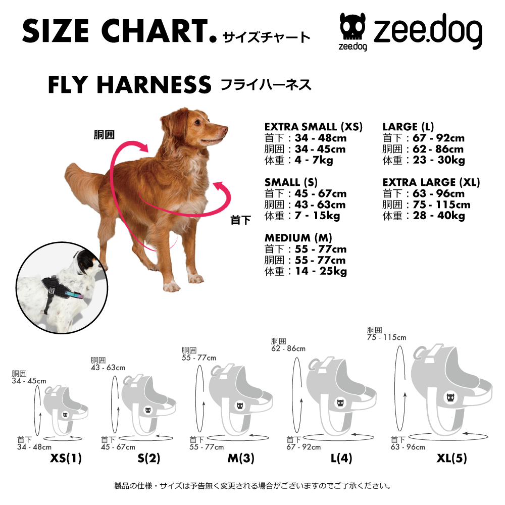 ACG FLY HARNESS エーシージー フライハーネス
