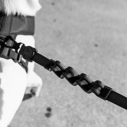GOTHAM RUFF LEASH ゴッサム ラフリード