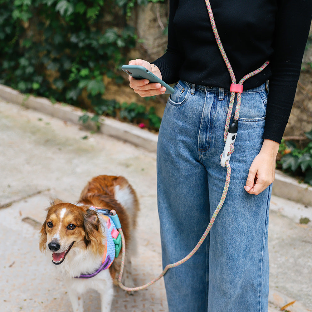 GRAVITY HANDS-FREE LEASH グラビティ ハンズフリーリーシュ