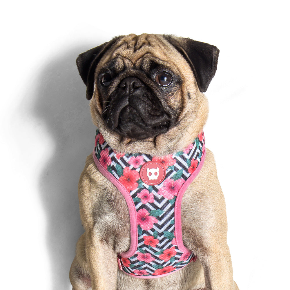 MAHALO MESH HARNESS マハロ メッシュハーネス