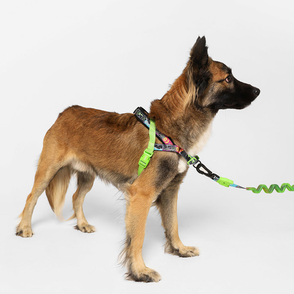 ZEE.TOWN MANIFESTO SOFTER WALK HARNESS ジータウン マニフェスト ソフターウォークハーネス