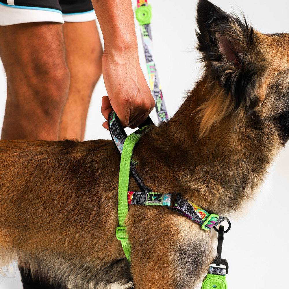 ZEE.TOWN MANIFESTO SOFTER WALK HARNESS ジータウン マニフェスト ソフターウォークハーネス