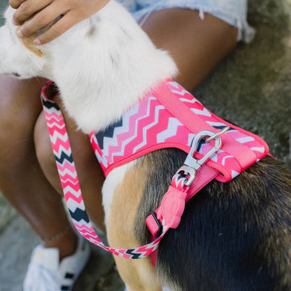MAUI MESH HARNESS マウイ  メッシュハーネス