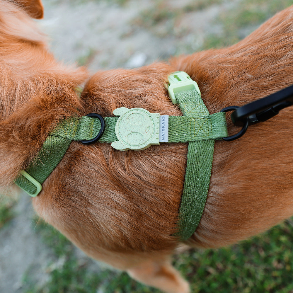 MOSS H-HARNESS モス Hハーネス