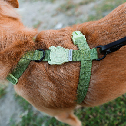MOSS H-HARNESS モス Hハーネス