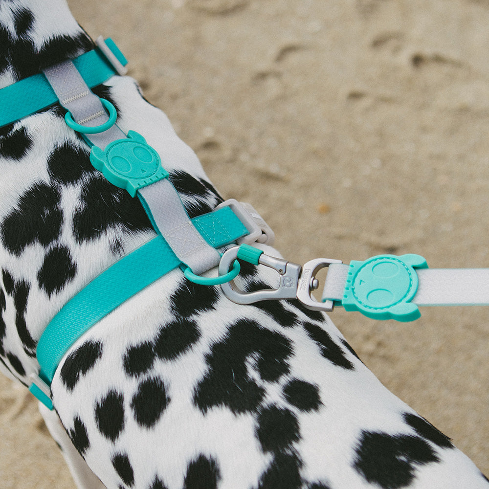 NEOPRO 2.0 TIDAL LEASH ネオプロ タイダル リード