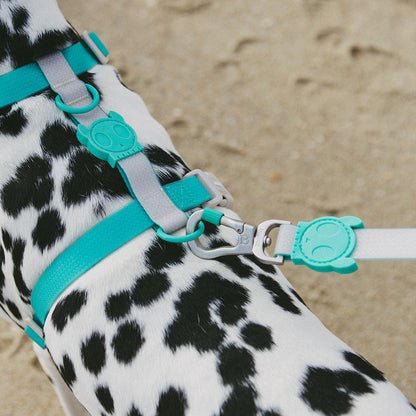 NEOPRO 2.0 TIDAL LEASH ネオプロ タイダル リード
