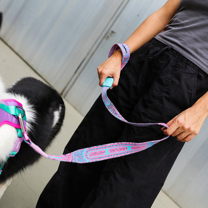 CANDY NIT LEASH キャンディ ニットリーシュ