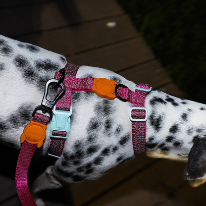 NOX SIDUS H-HARNESS ノックス シダス Hハーネス