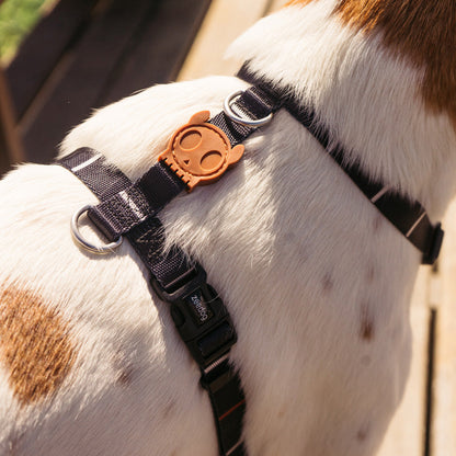 PATAGONIA H-HARNESS パタゴニア Hハーネス