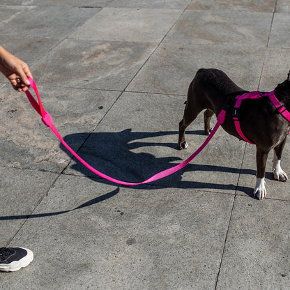 PINK LED LEASH ピンクLED リード