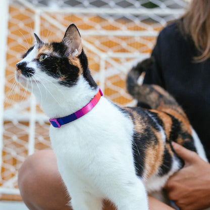 zee.cat PRISMA COLLAR ジーキャット プリズマ カラー